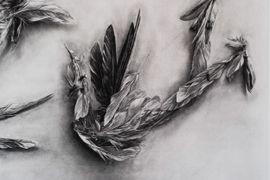 https://cdn.fairart.io/thumbnail_Ai_Weiwei_Parrot_Feathers_2_ff3843dbbe.jpg - 1