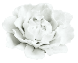 https://cdn.fairart.io/thumbnail_Ai_Weiwei_Peony_1_a6ff1aaf6b.png - 0
