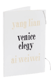 https://cdn.fairart.io/thumbnail_Ai_Weiwei_Venice_Elergy_1_ba1a90975f.png - 0