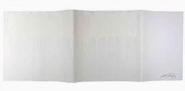 https://cdn.fairart.io/thumbnail_Ai_Weiwei_White_Ai_Weiwei_Hand_Painted_Hardback_2_691b2d73e8.jpg - 1