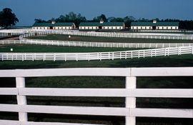 Artwork - Kentucky Farm