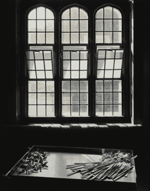 Artwork - Forks and Knives