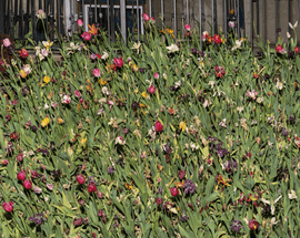 Artwork - Garden I