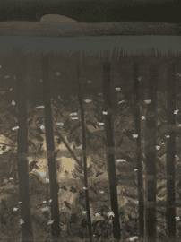 Artwork - Black Brook X