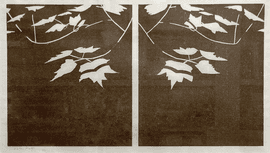 Artwork - Black Pond