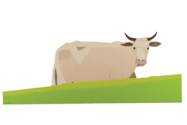 Artwork - Cow