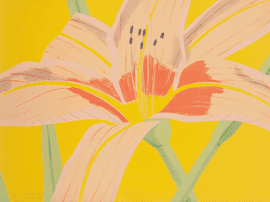 Day Lily II