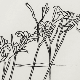 Edges (Sheet 5)