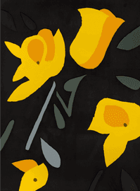 Freesia