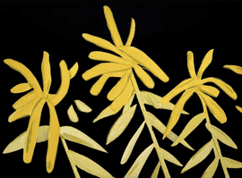 Artwork - Goldenrod