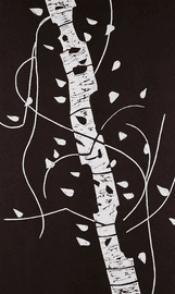 Large Birch