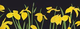 https://cdn.fairart.io/thumbnail_Alex_Katz_Yellow_Flags_2_1_3f6e82dca1.jpg - 0