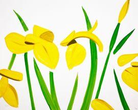 Artwork - Yellow Flags on White