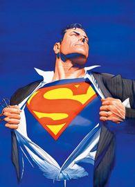 Artwork - Superman Forever (Large)