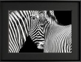 Artwork - Against Stripes