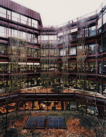Artwork - Zürich - Bank Projekt no. IV