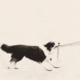 Tug