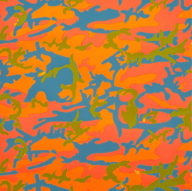 Artwork - Camouflage (FS II.413)