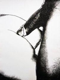 Artwork - Sex Parts (FS II.174)