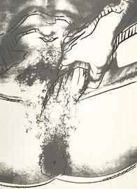 Artwork - Sex Parts (FS II.177)