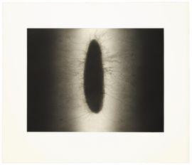 https://cdn.fairart.io/thumbnail_Anish_Kapoor_Untitled_4_History_Portfolio_2_80b3fbf986.jpeg - 1