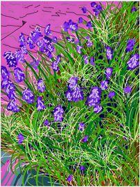 Artwork - Purple