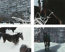 Artwork - YOUTH (Set of 4 Prints)