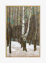 Birch Woods In Winter