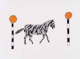 Zebra Crossing