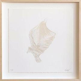 https://cdn.fairart.io/thumbnail_CJ_Hendry_Hibiscus_1_2017e4a146.jpg - 0