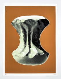 https://cdn.fairart.io/thumbnail_CJ_Hendry_Pastel_Editions_Apple_Core_2_daabb9902f.jpg - 1