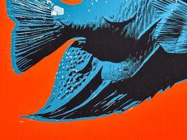 https://cdn.fairart.io/thumbnail_CJ_Hendry_Pastel_Editions_Fish_Blue_Red_3_5ce2b036ed.jpg - 2