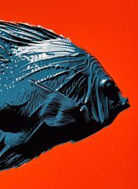 https://cdn.fairart.io/thumbnail_CJ_Hendry_Pastel_Editions_Fish_Blue_Red_4_38aee8113a.jpg - 3