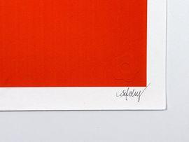 https://cdn.fairart.io/thumbnail_CJ_Hendry_Pastel_Editions_Fish_Blue_Red_6_228a3edd6d.jpg - 5