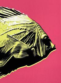 https://cdn.fairart.io/thumbnail_CJ_Hendry_Pastel_Editions_Fish_Green_Pink_3_21a25ee721.jpg - 2