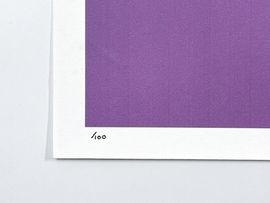 https://cdn.fairart.io/thumbnail_CJ_Hendry_Pastel_Editions_Tooth_Creased_4_95cd764b71.jpg - 3