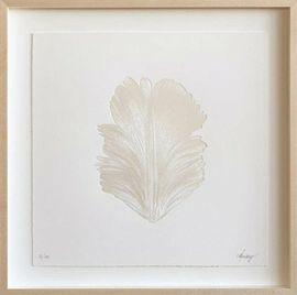 Artwork - Tulip Petal