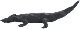 Artwork - Aligator