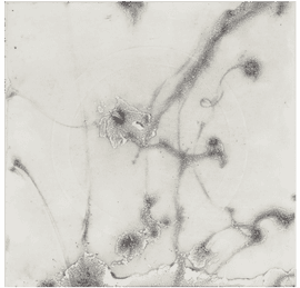 Artwork - Foreplay