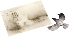 https://cdn.fairart.io/thumbnail_Cai_Guo_Qiang_Murmuration_1_09b08f55e7.png - 0