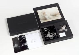 https://cdn.fairart.io/thumbnail_Cai_Guo_Qiang_Murmuration_2_a4ec0b7493.jpg - 1