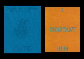 https://cdn.fairart.io/thumbnail_Charlotte_Keates_A_Constant_Hum_2_85478fe13b.webp - 1
