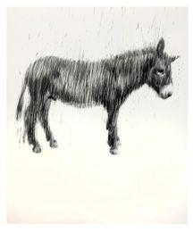 Artwork - Graphite Unidonkey