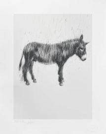 Last Donkey