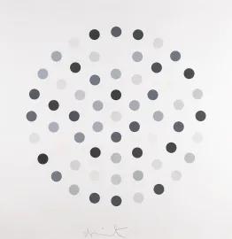 Artwork - Cinchonidine