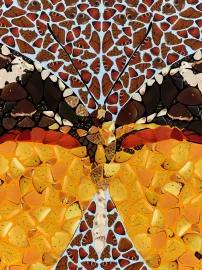 https://cdn.fairart.io/thumbnail_Damien_Hirst_DP_15_Delias_S_Depictions_2_3106106cac.webp - 1
