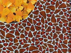 https://cdn.fairart.io/thumbnail_Damien_Hirst_DP_15_Delias_S_Depictions_3_c902802316.webp - 2