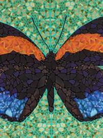 https://cdn.fairart.io/thumbnail_Damien_Hirst_DP_35_Callicore_P_Depictions_2_a6dd47c1e9.webp - 1