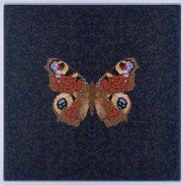 https://cdn.fairart.io/thumbnail_Damien_Hirst_DP_44_Inachis_Io_Depictions_1_ed327000b7.jpg - 0
