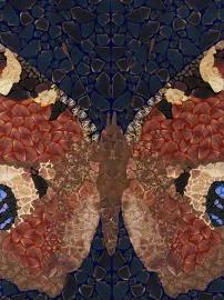 https://cdn.fairart.io/thumbnail_Damien_Hirst_DP_44_Inachis_Io_Depictions_2_d1491ac6df.webp - 1